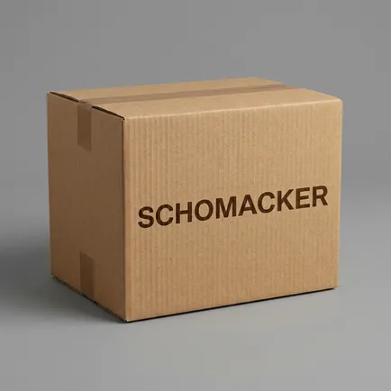 98748260 SCHOMACKER Стремянка задняя