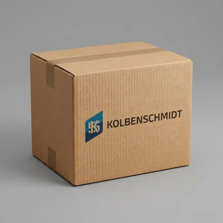 9225016 KOLBENSCHMIDT Седло клапана