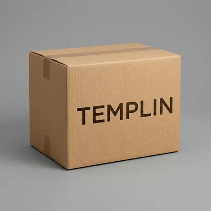 60404008108 TEMPLIN Ремкомплект шкворня