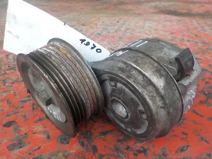 463769 DIESEL TECHNIC Ролик натяжителя