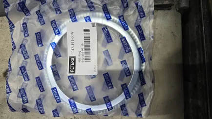01619100A PE Кольцо ABS