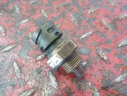 5010398073 RENAULT Датчик температуры воздуха, Отсутствует