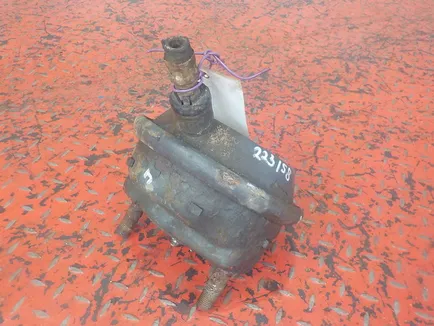54208224 MERCEDES Камера тормозная, Отсутствует
