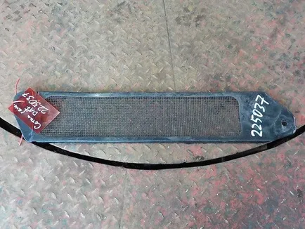 1666914 DAF Сетка защитная, Отсутствует