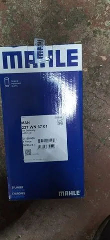 227WN67 MAHLE Гильза