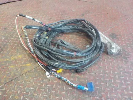 1733698 DAF Электропроводка рамная