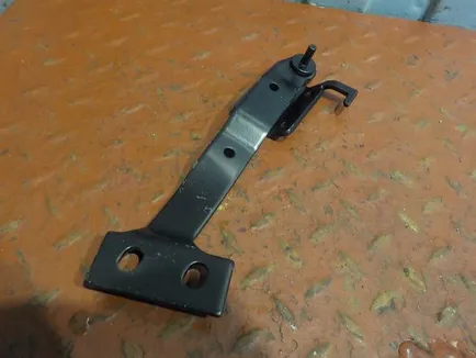TD0852071L TANGDE Петля капота левая