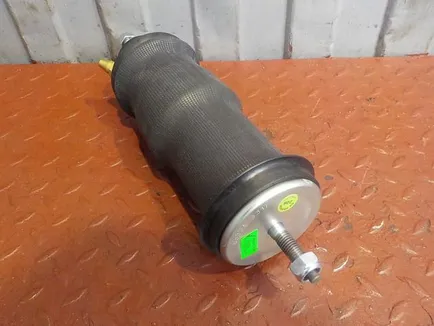 125675 DIESEL TECHNIC Амортизатор кабины передний