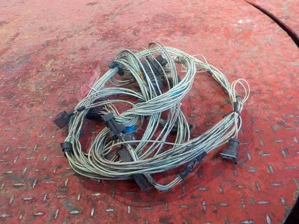 5010590219 RENAULT Электропроводка двери