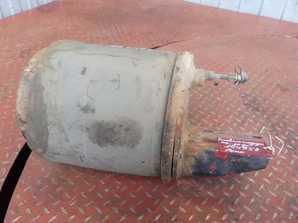 5010294307 RENAULT Пневмоподушка, Отсутствует