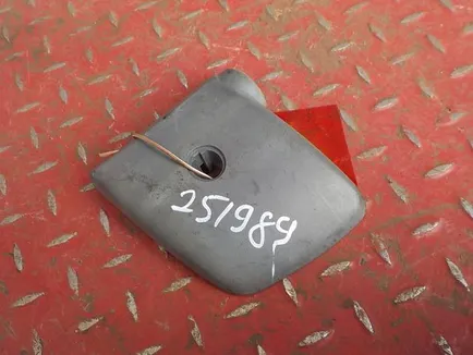 81637310315 MAN Накладка зеркала правого