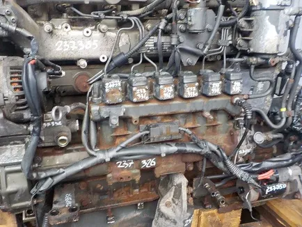 1428254 DAF ТНВД, Отсутствует