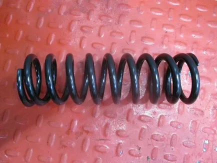 270403 DIESEL TECHNIC Пружина амортизатора кабины