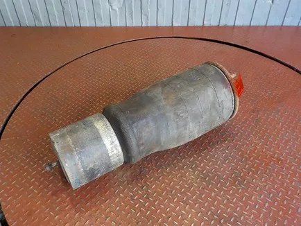 7422025556 RENAULT Пневмоподушка, Отсутствует