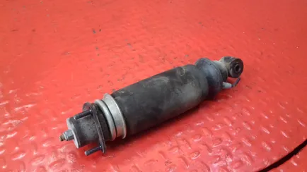 125975 DIESEL TECHNIC Амортизатор кабины задний