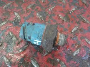 5010398062 RENAULT Датчик давления масла