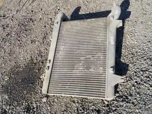 1619667 DAF Интеркулер