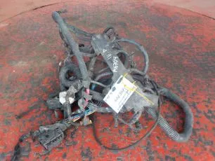 504166140 IVECO Электропроводка двигателя