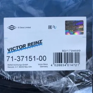 713715100 VICTOR REINZ Прокладка поддона