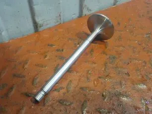 061VE30986000 MAHLE Клапан впускной