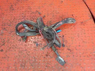 1731120 SCANIA Электропроводка фары
