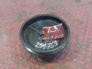 5010295598 RENAULT Шкив термомуфты
