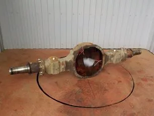 5010319006 RENAULT Корпус заднего моста