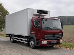 Mercedes-Benz Atego MPIII 2009-2013